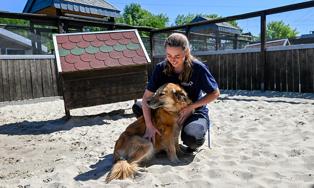 urlaub im hundehotel tierpension nrw